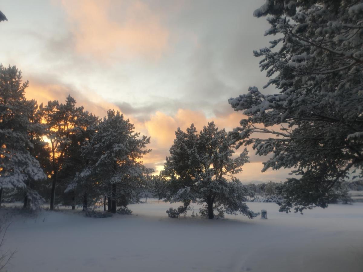 Solvang Camping Og Leirsted Alta Luaran gambar