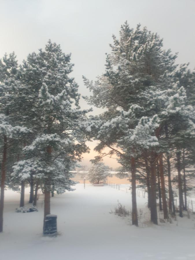 Solvang Camping Og Leirsted Alta Luaran gambar