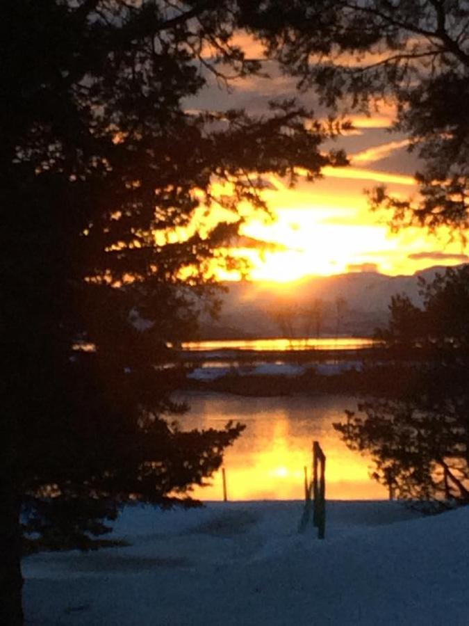 Solvang Camping Og Leirsted Alta Luaran gambar